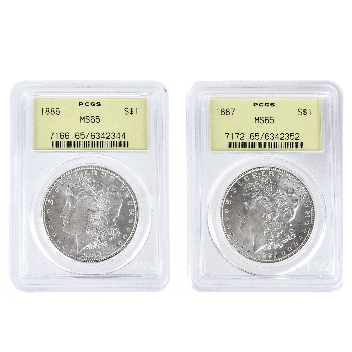 Two (2) Morgan Silver Dollars MS65 Slabbed