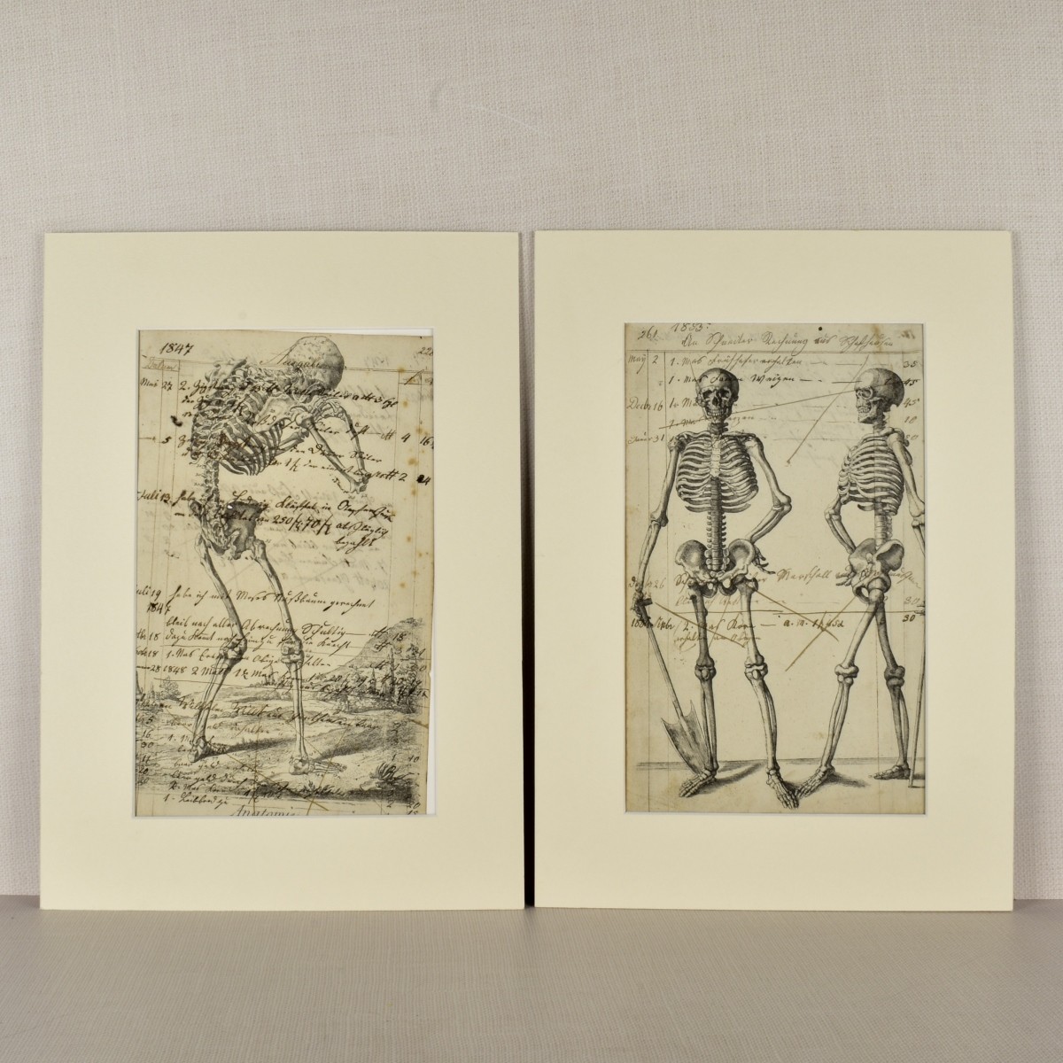 Memento Mori, Two Skeleton Etchings