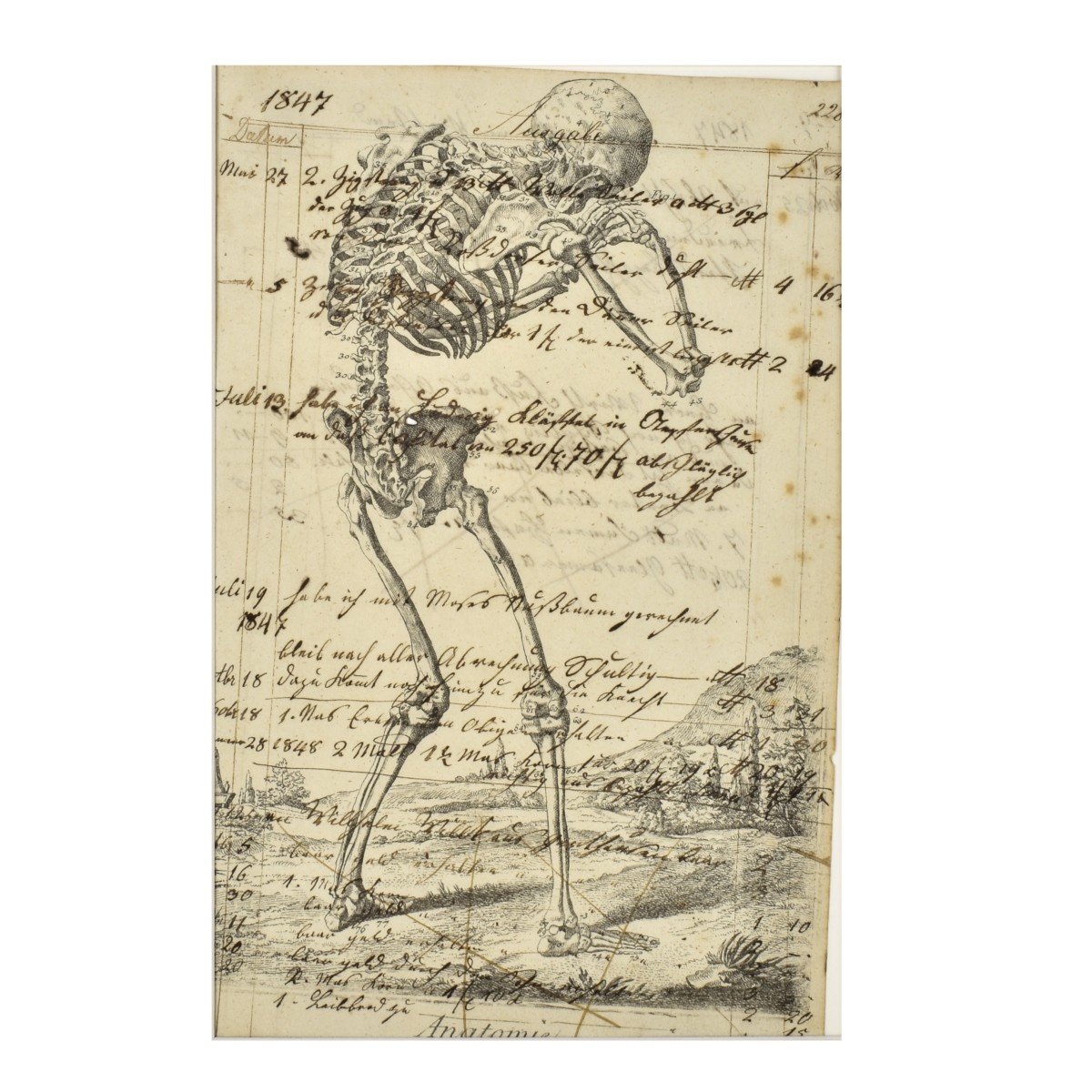 Memento Mori, Two Skeleton Etchings