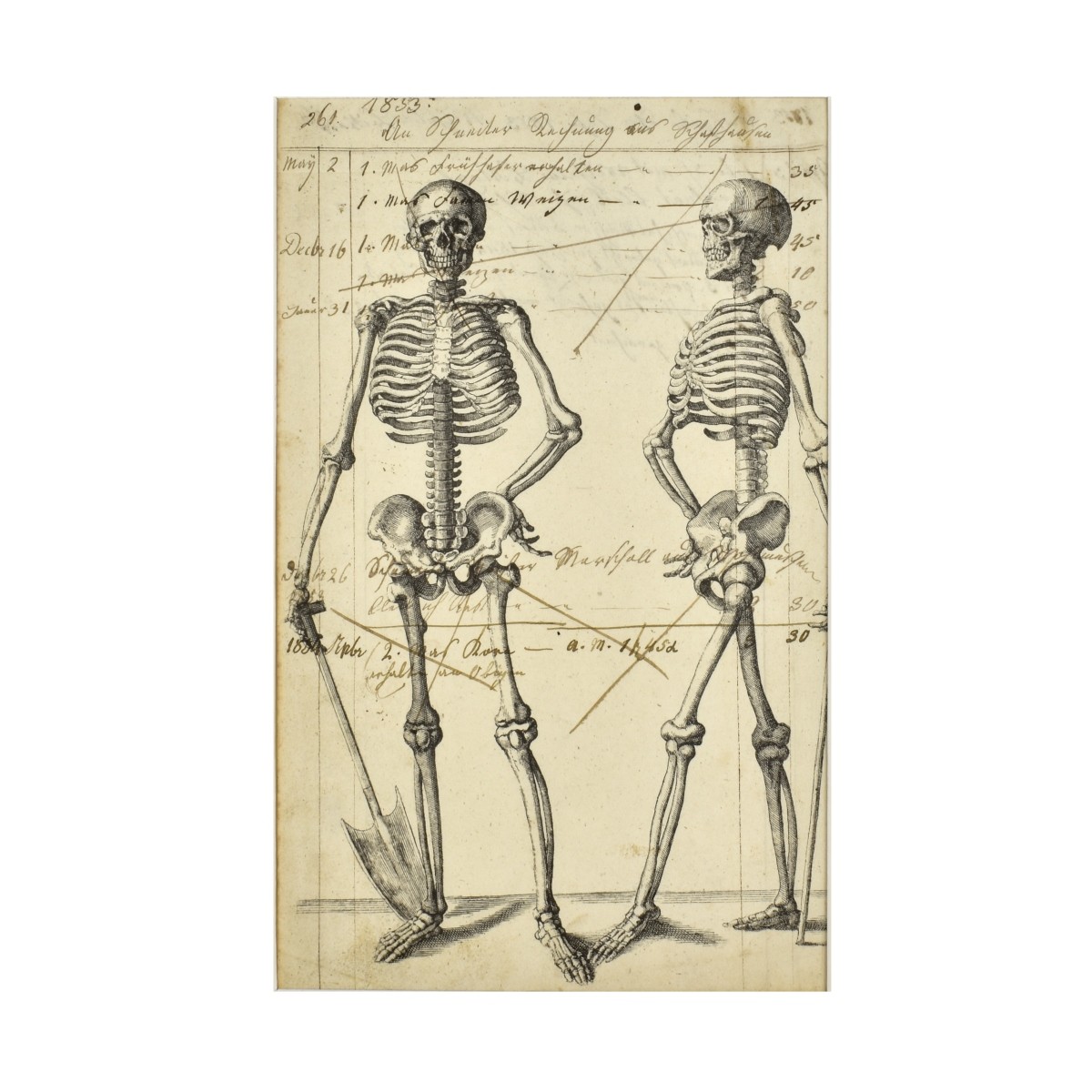 Memento Mori, Two Skeleton Etchings