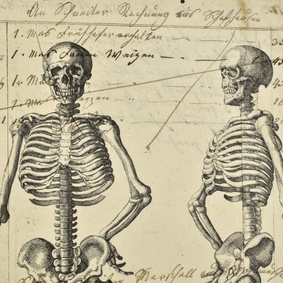 Memento Mori, Two Skeleton Etchings