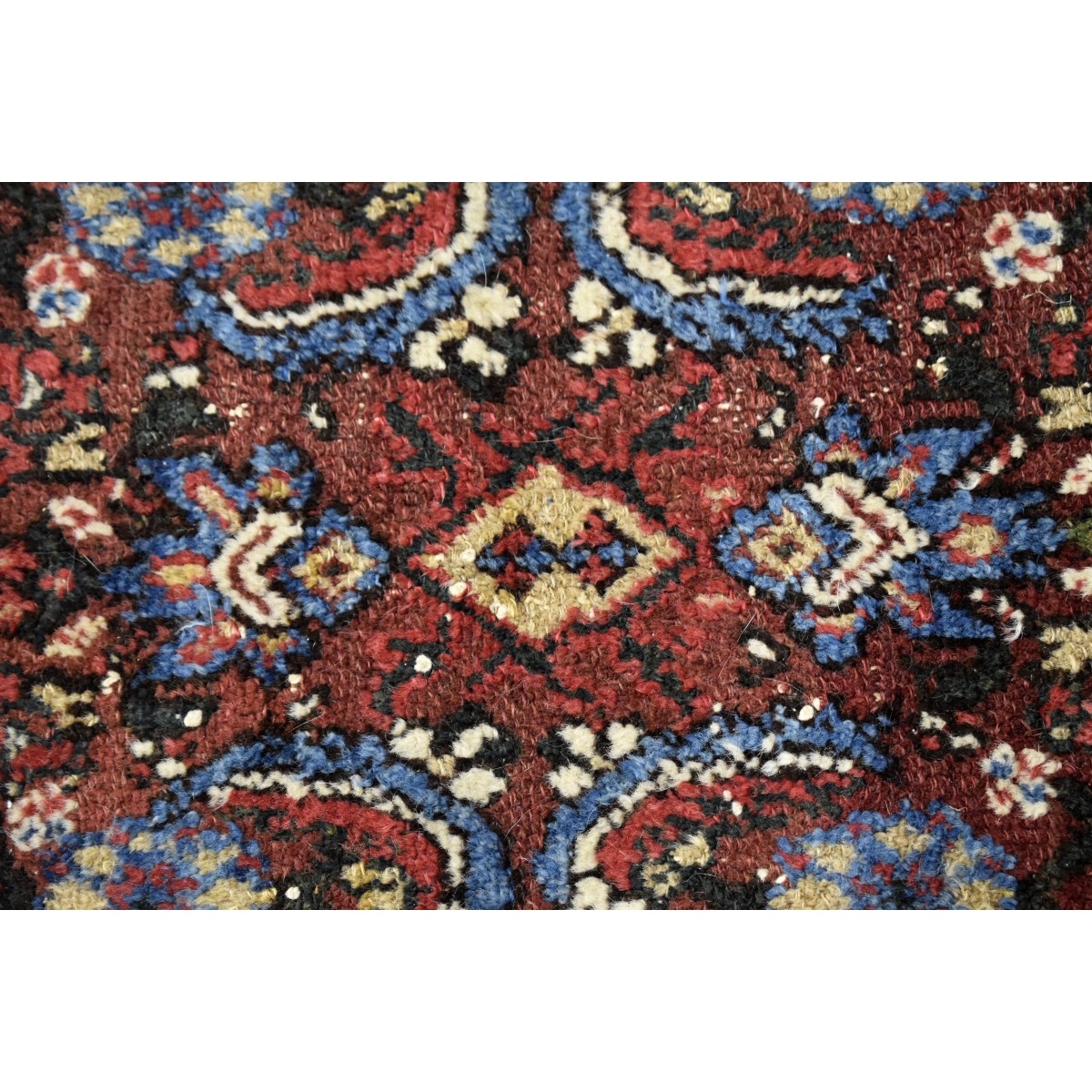 Oriental Wool Rug