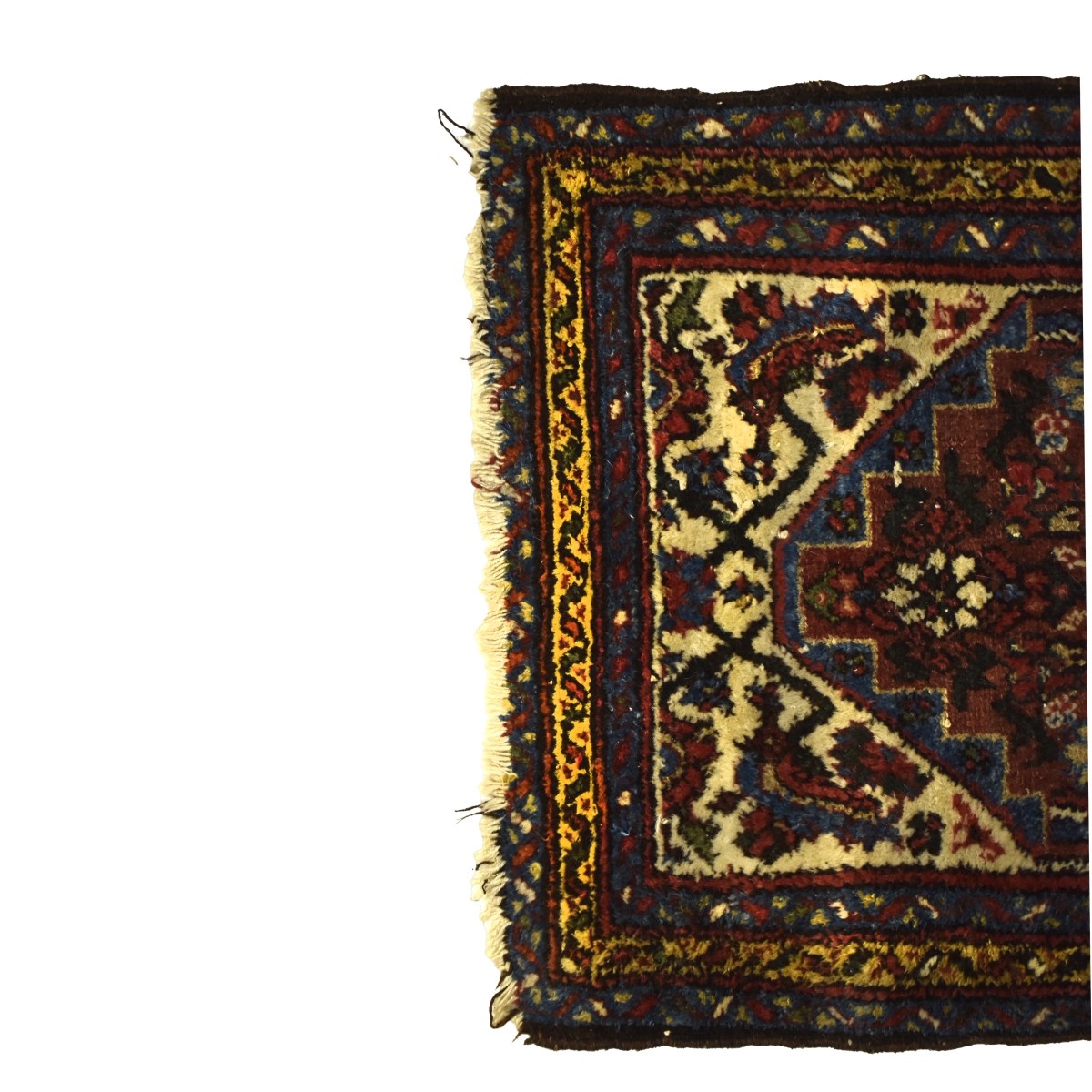 Oriental Wool Rug