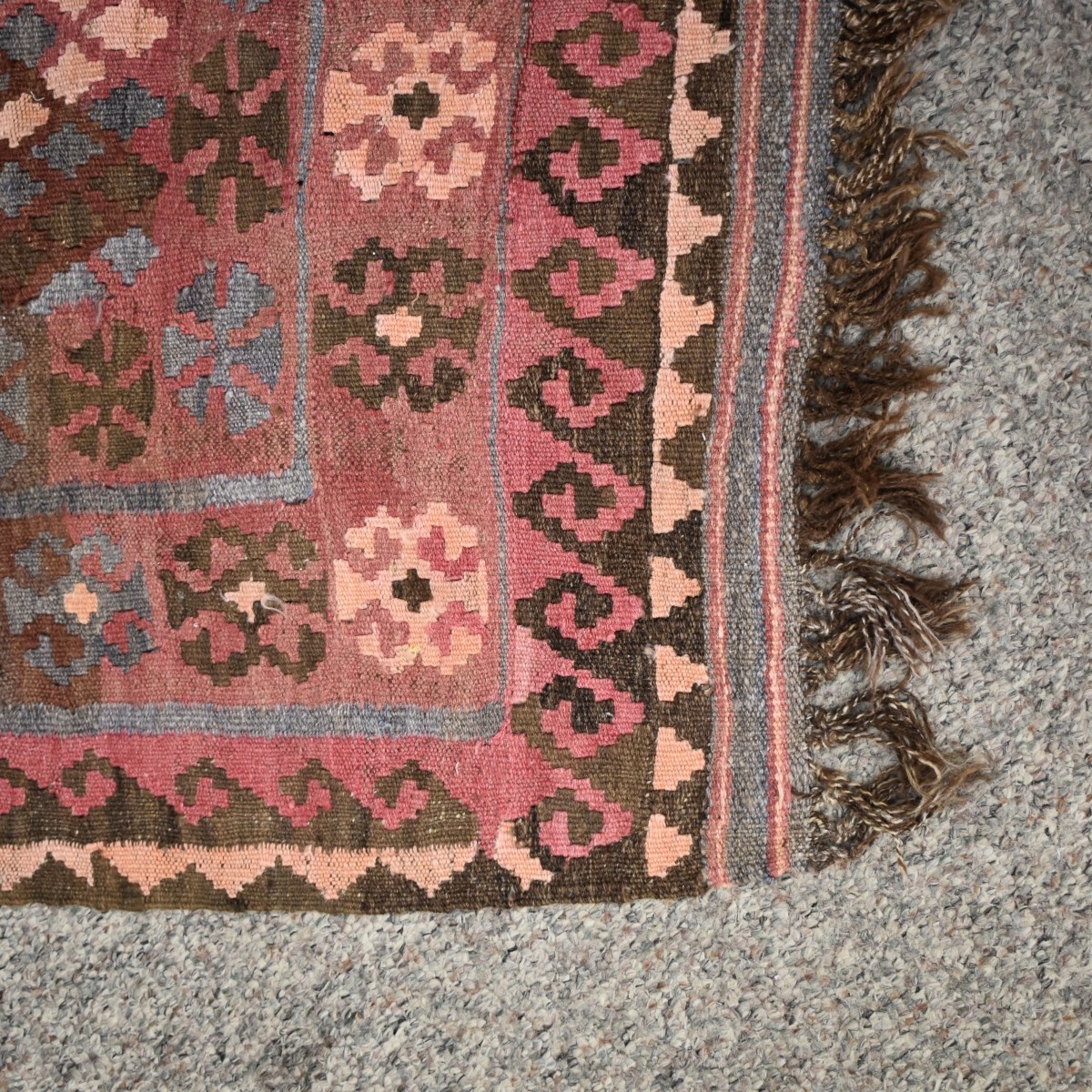 Oriental Wool Rug