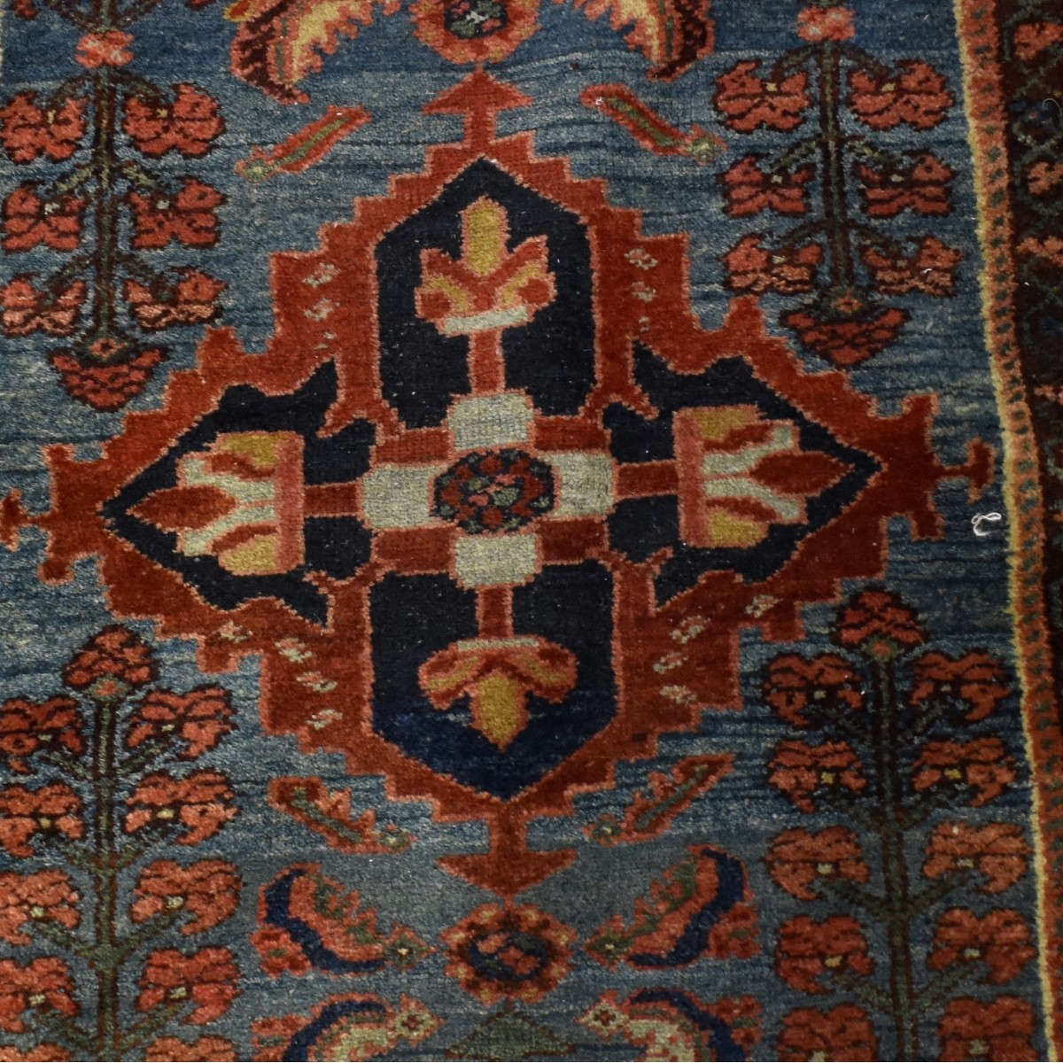 Oriental Wool Rug