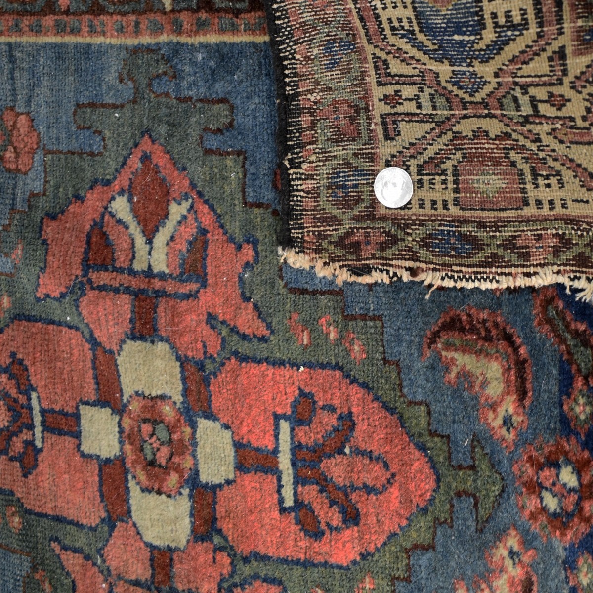 Oriental Wool Rug