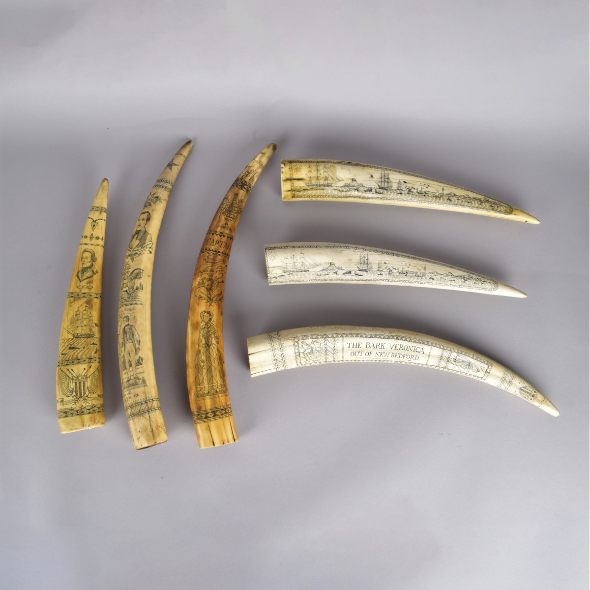 Six (6) Reproduction Scrimshaw Tusks