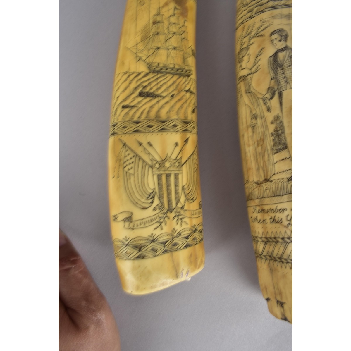 Six (6) Reproduction Scrimshaw Tusks