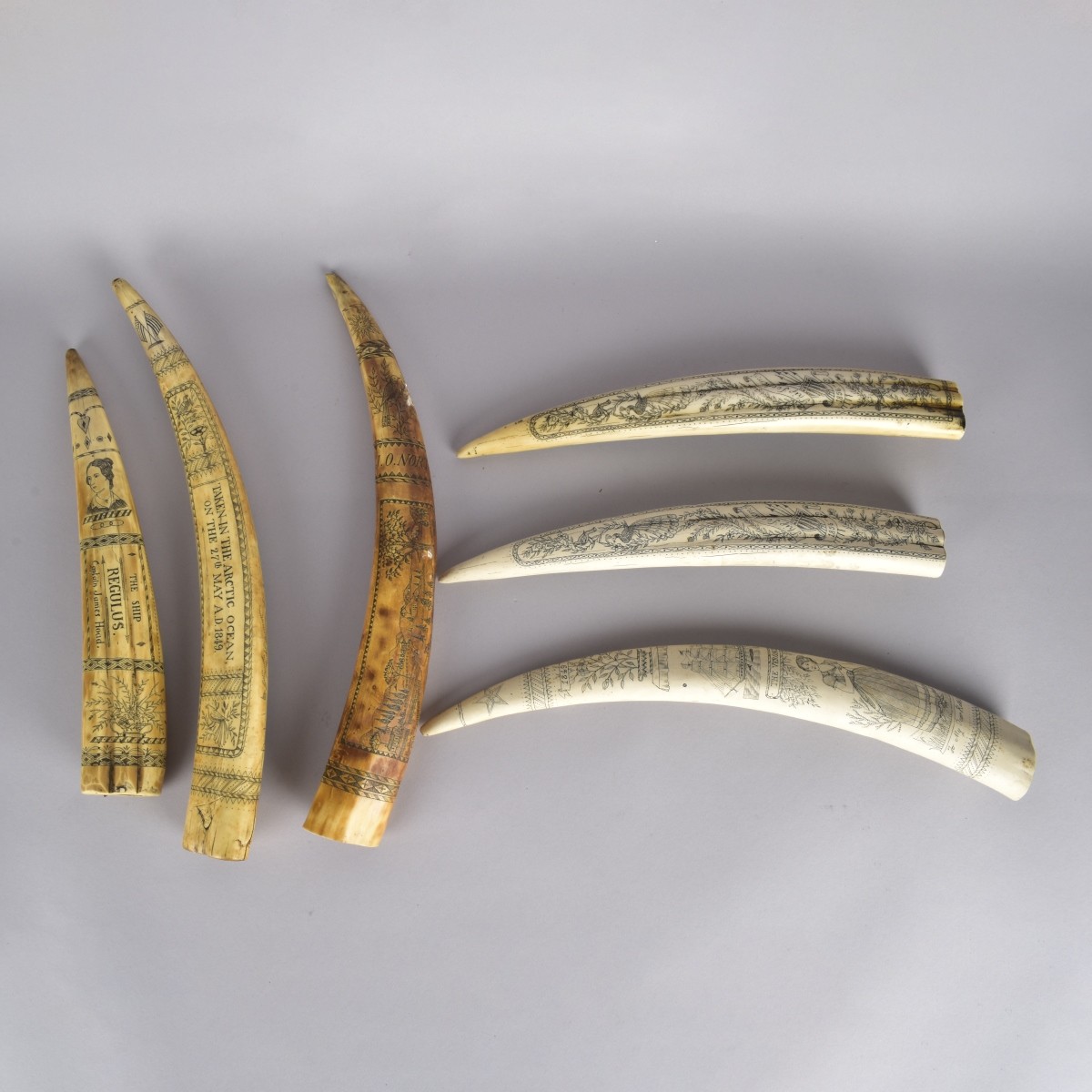 Six (6) Reproduction Scrimshaw Tusks