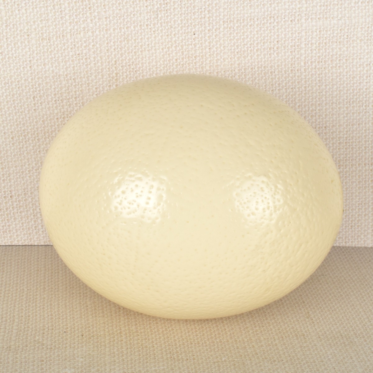 Ostrich Egg with Stand