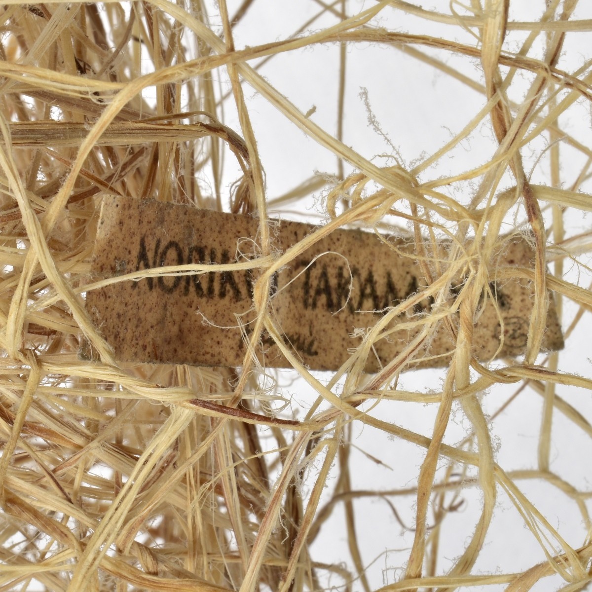 Noriko Takamiya (20C) Grass Basket Sculpture