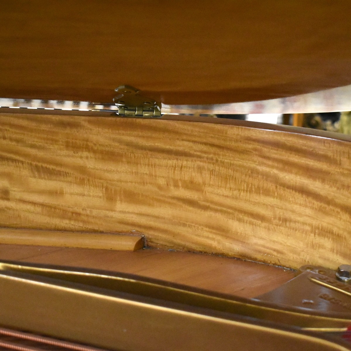 Steinway & Sons Grand Piano Model B