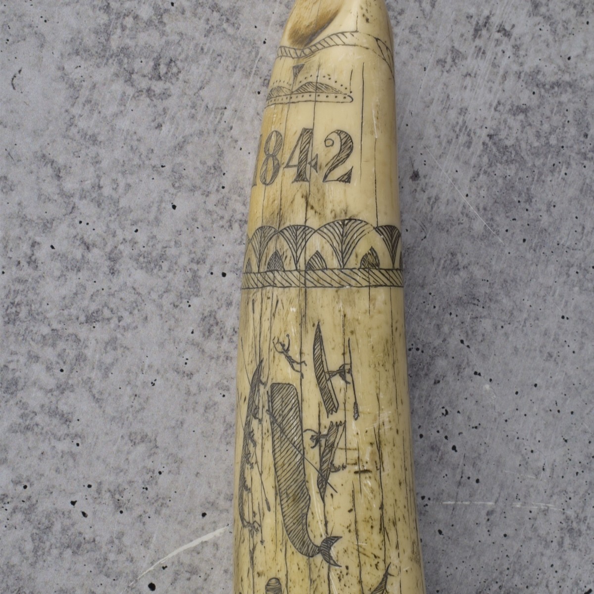 Two 20C Reproductions of Scrimshaw Tusks