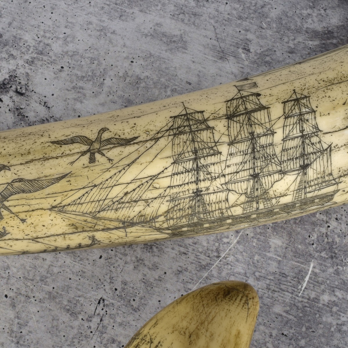 Two 20C Reproductions of Scrimshaw Tusks