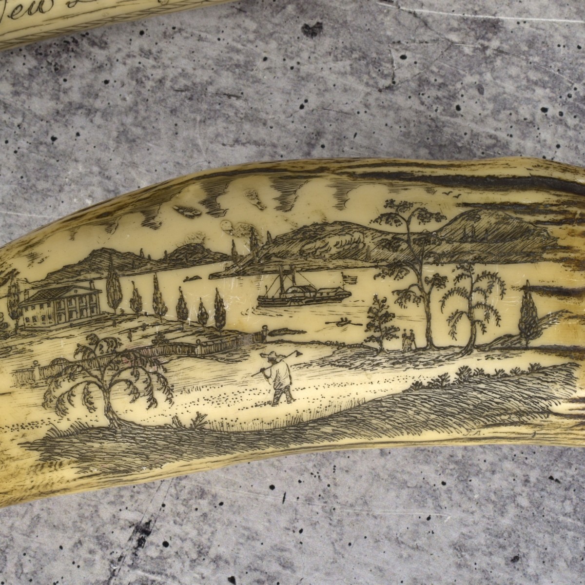 Two 20C Reproductions of Scrimshaw Tusks