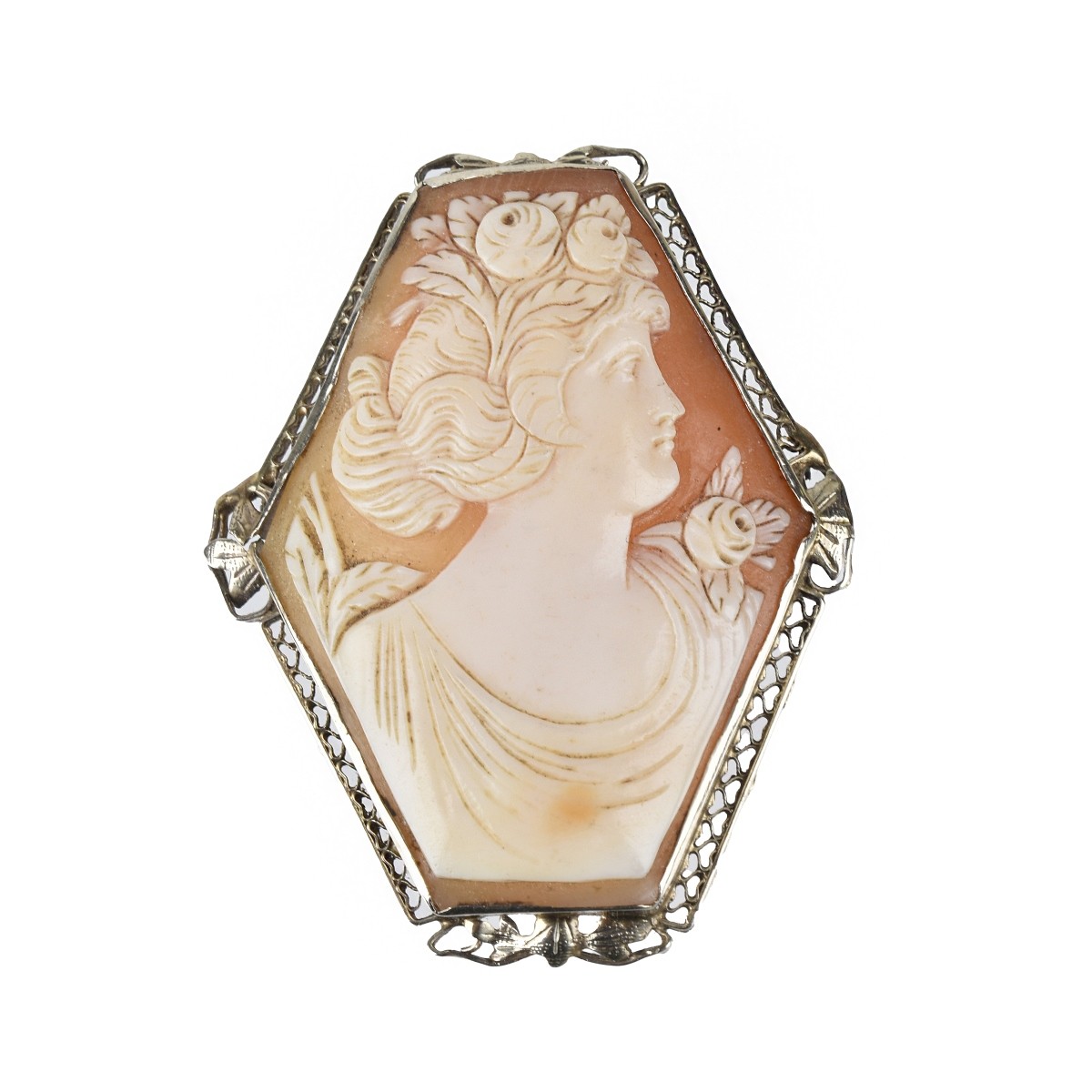 Cameo and 14K Pendant / Brooch