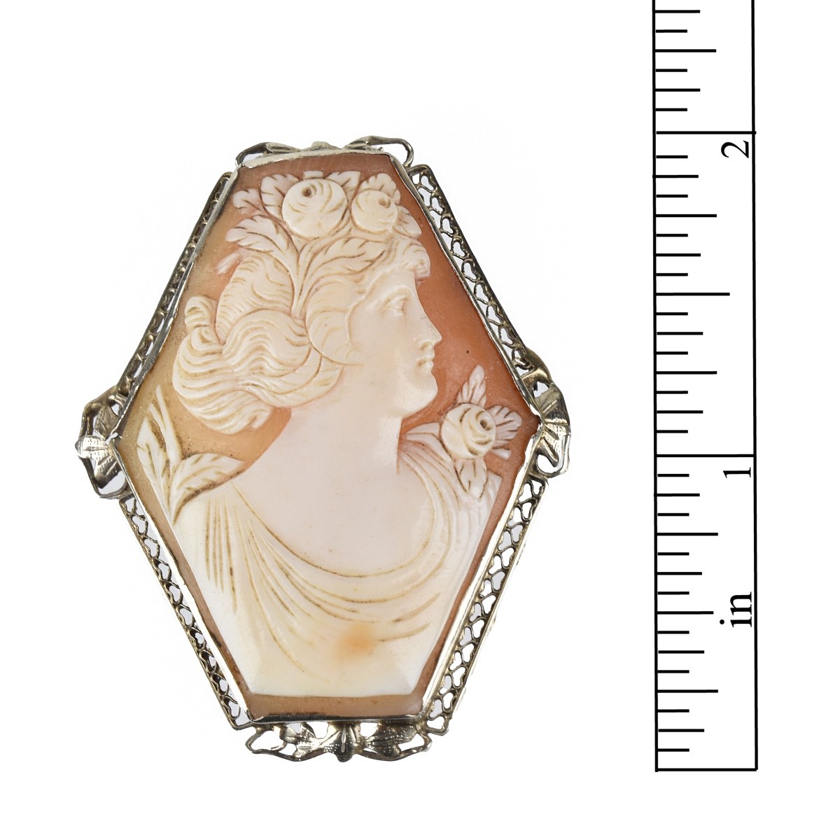 Cameo and 14K Pendant / Brooch