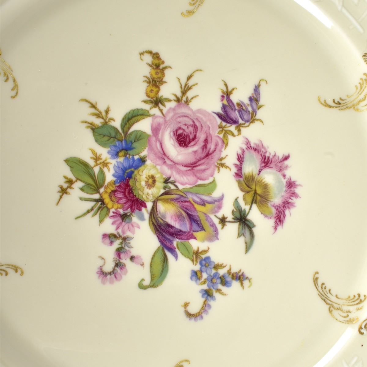 Rosenthal Sanssouci Diplomat Dinner Plates