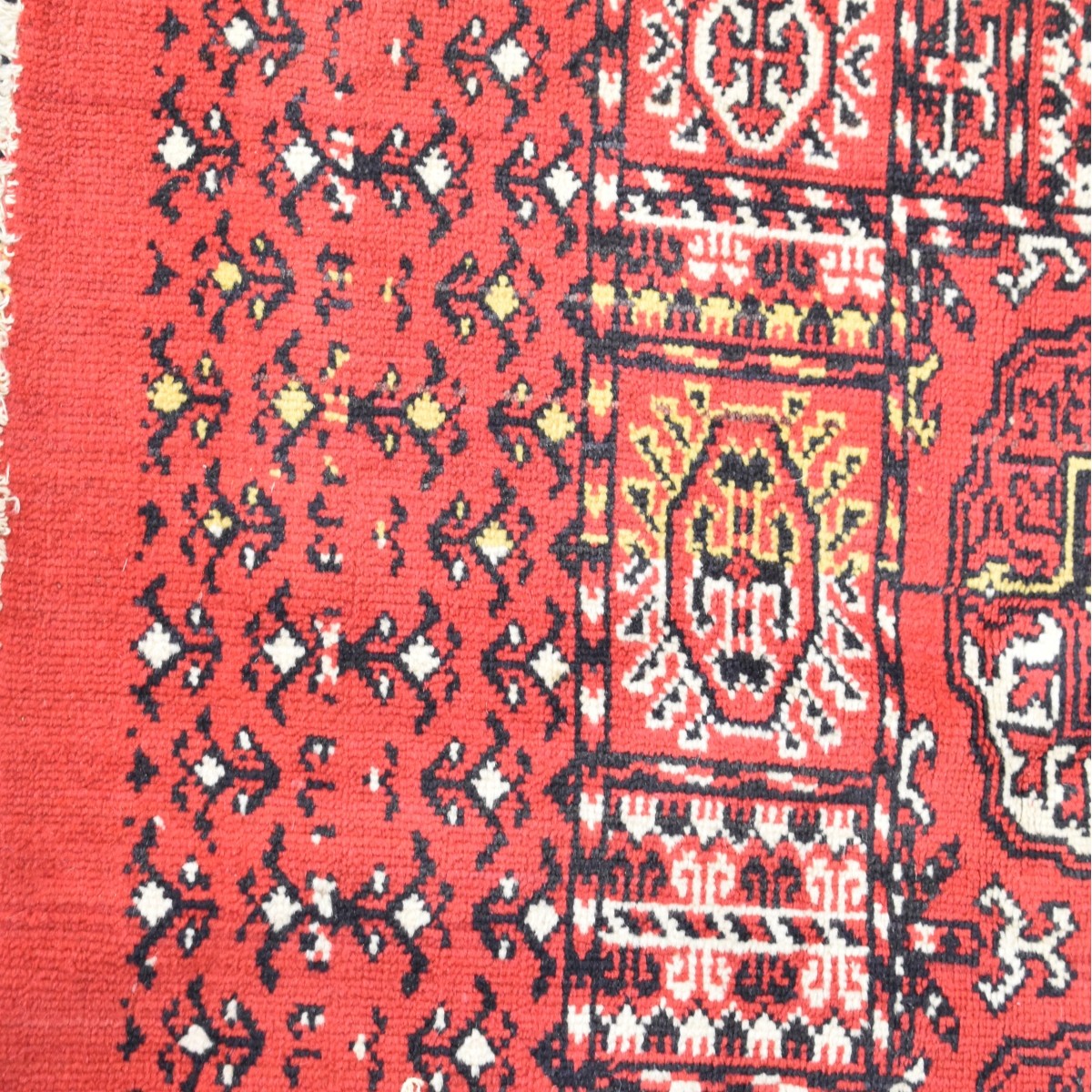 Bokhara and Pakistani Rugs