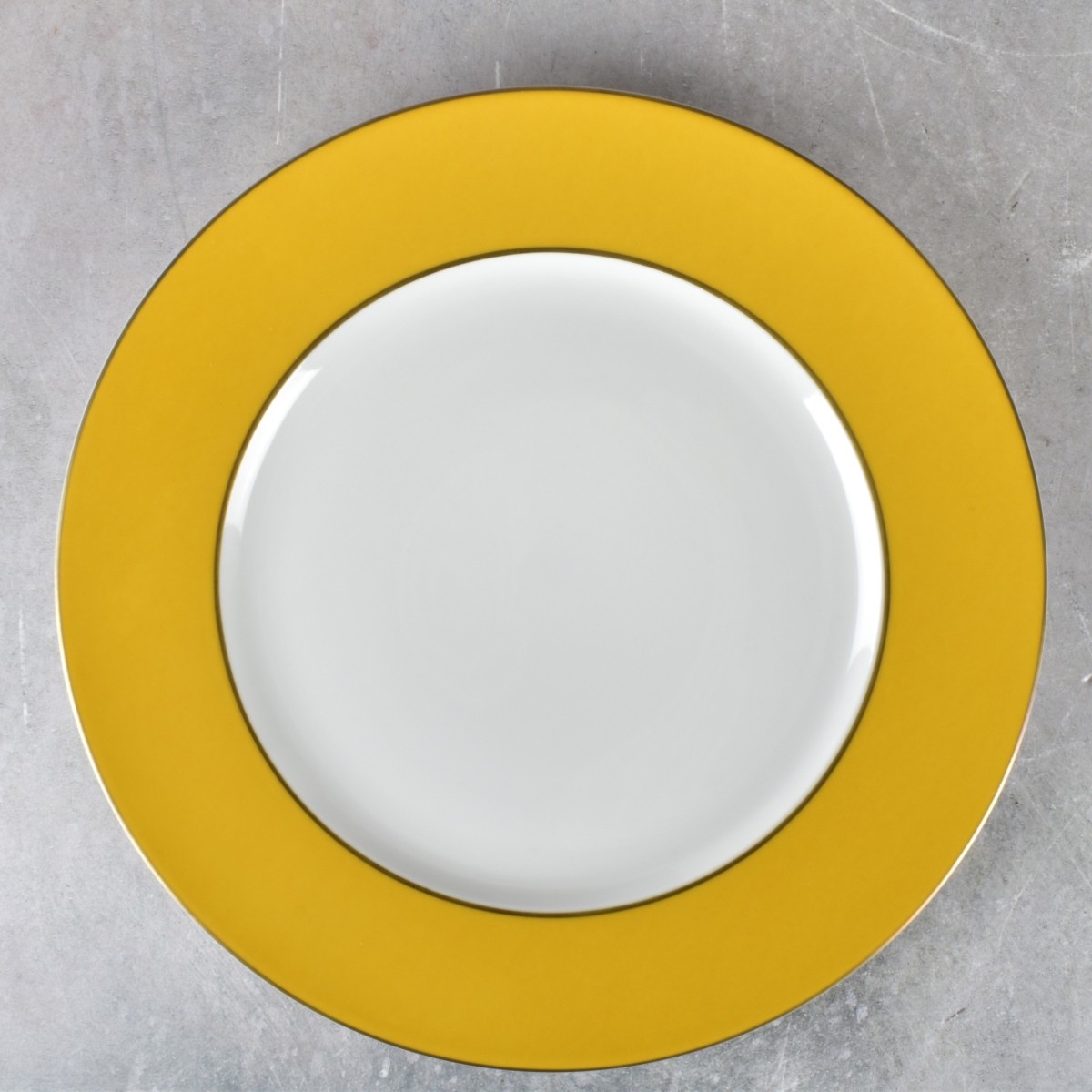 A. Raynaud and Co. Limoges France Service Plates
