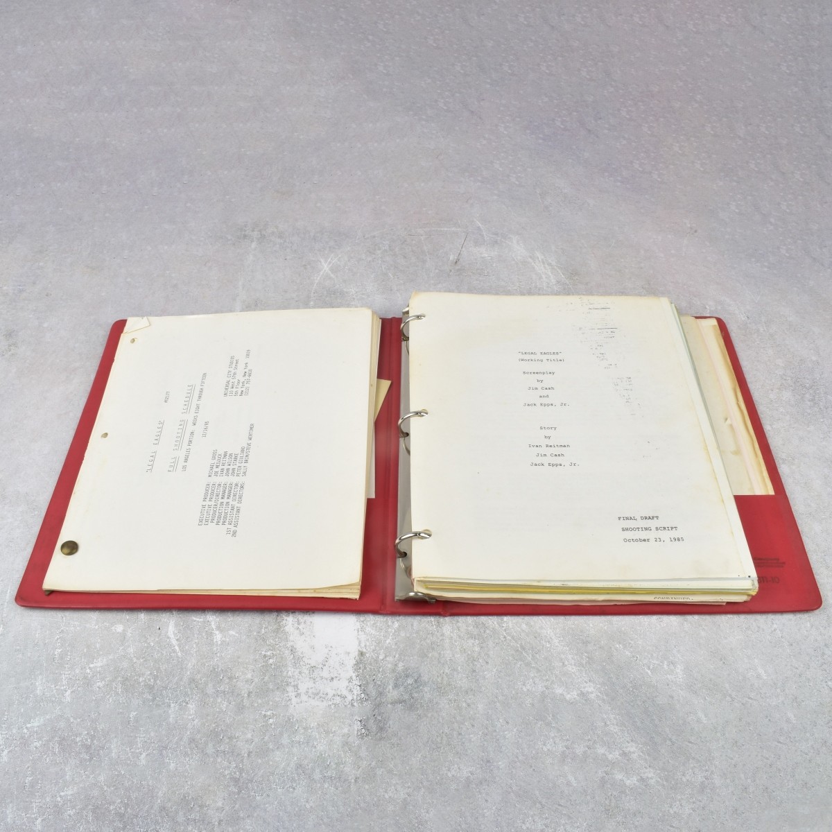 "Legal Eagles" Script Screenplay