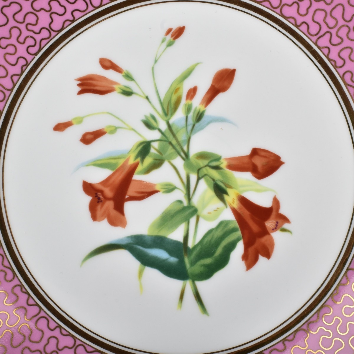 Porcelain Hand Embellished Transfer Tazzas