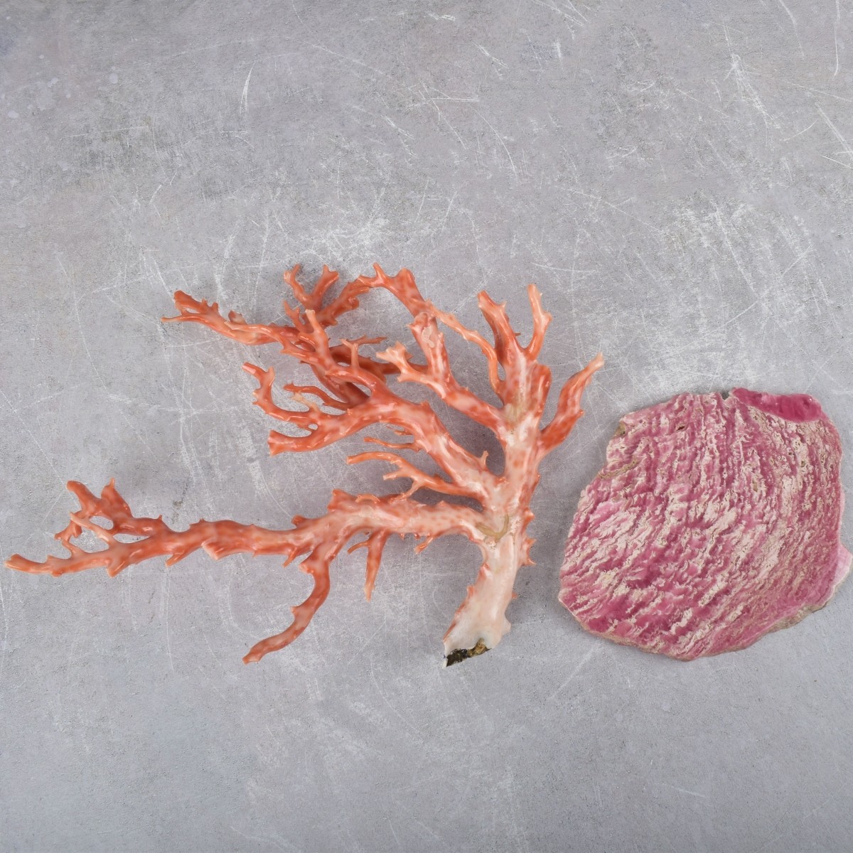 Antique Carved Natural Coral