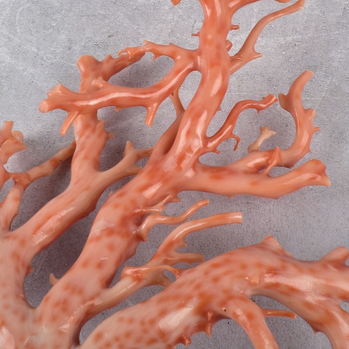 Antique Carved Natural Coral