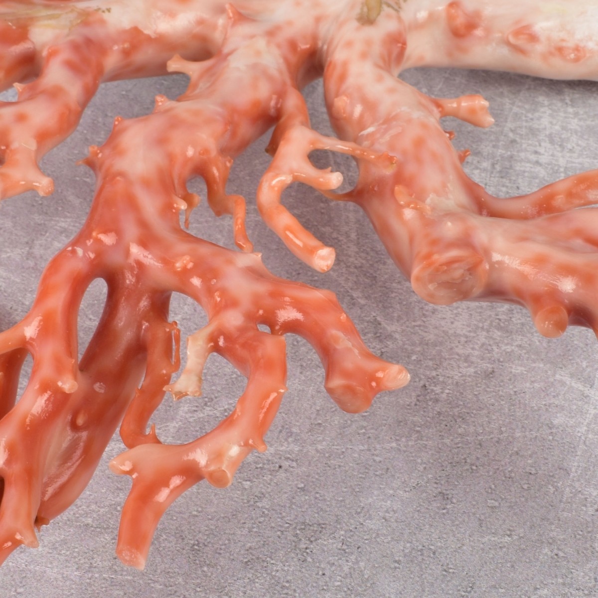 Antique Carved Natural Coral