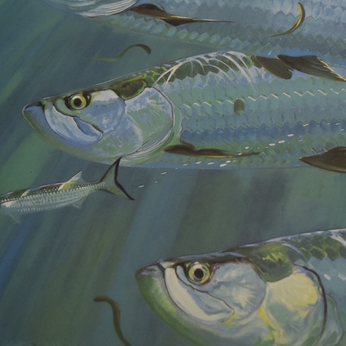 Guy Harvey, British-Jamaican (b. 1055)