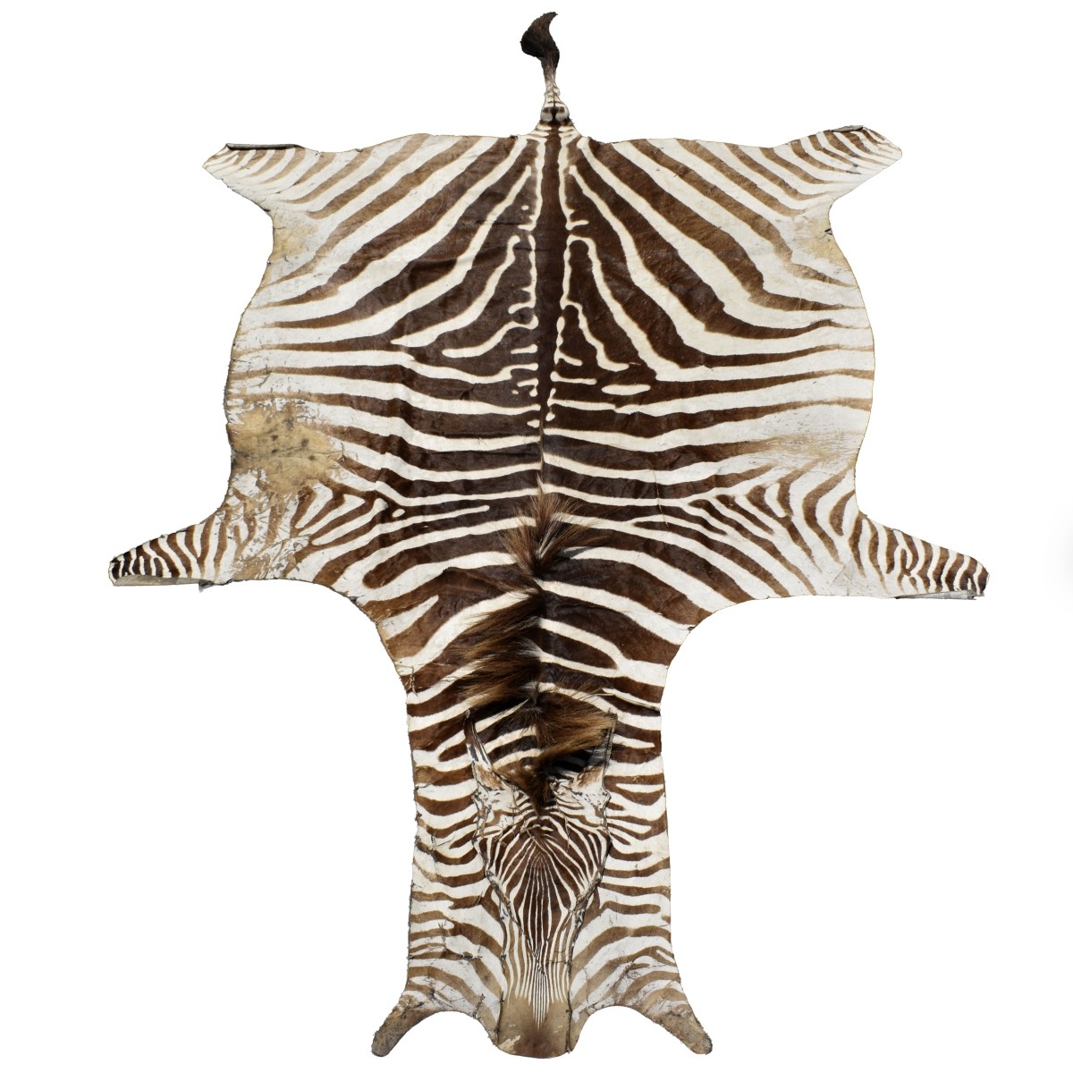 Zebra Full Body Rug