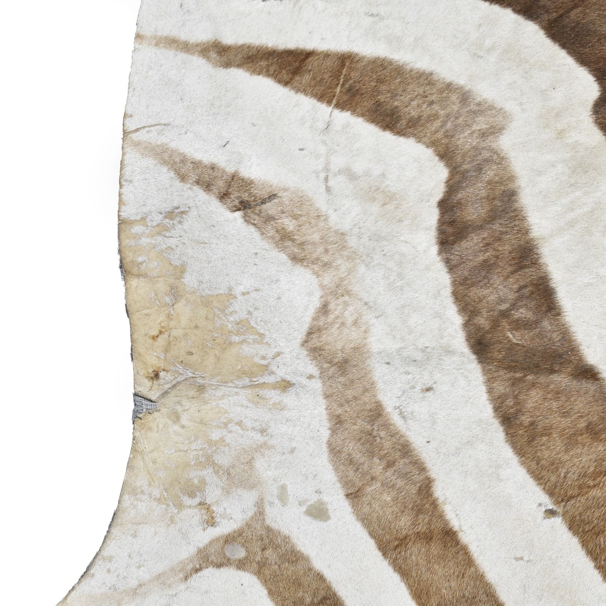 Zebra Full Body Rug
