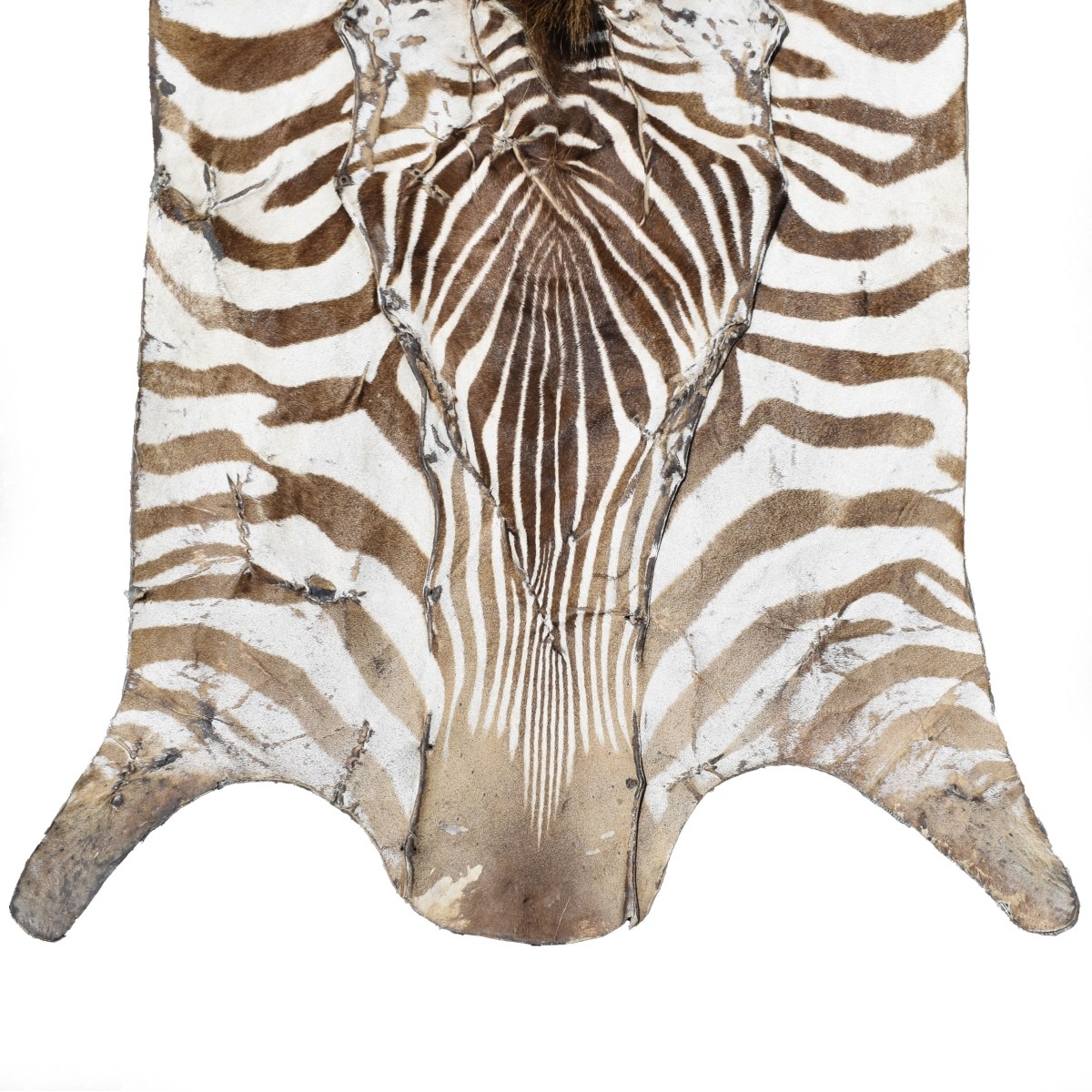 Zebra Full Body Rug