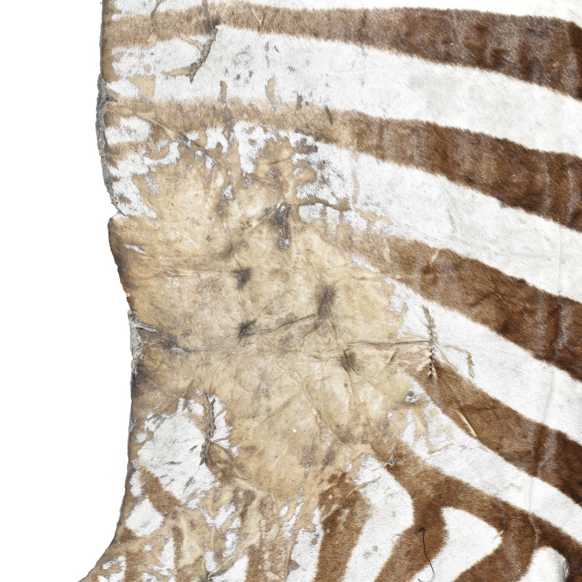 Zebra Full Body Rug