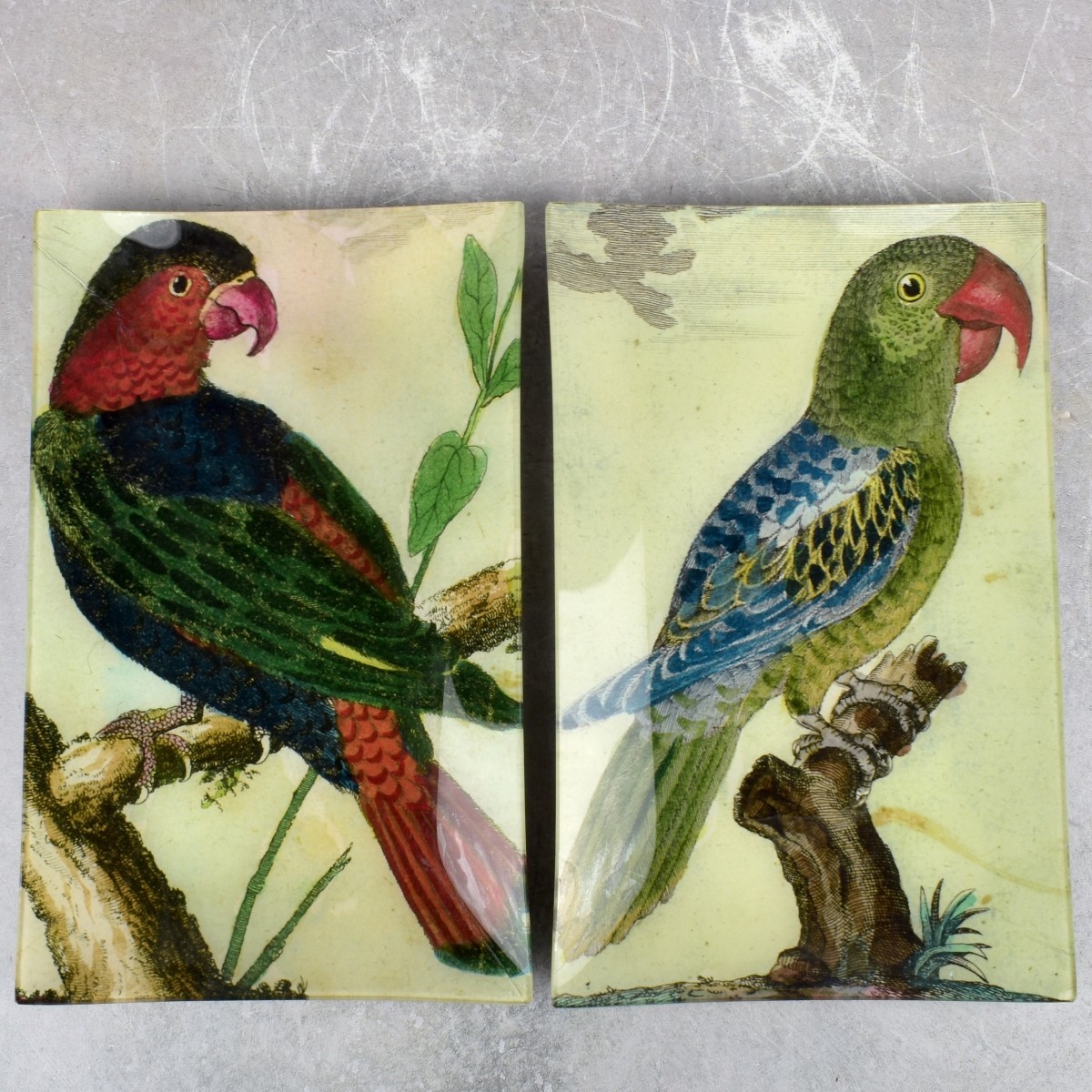 John Derian Decoupage Glass Trays/Plates