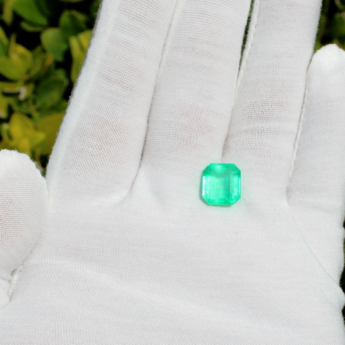 GIA 5.0Ct Colombian Emerald