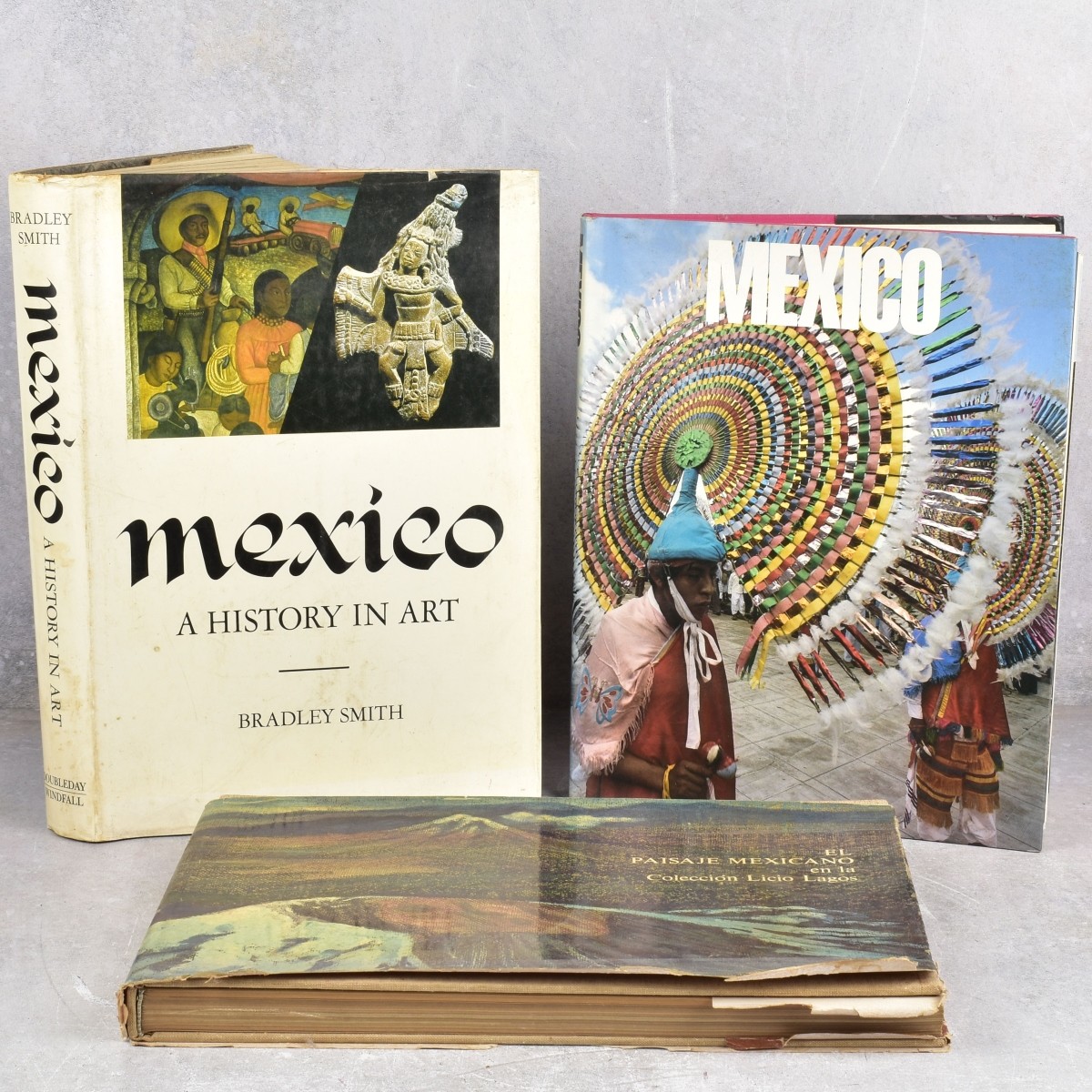 Mexico Hard Cover Books