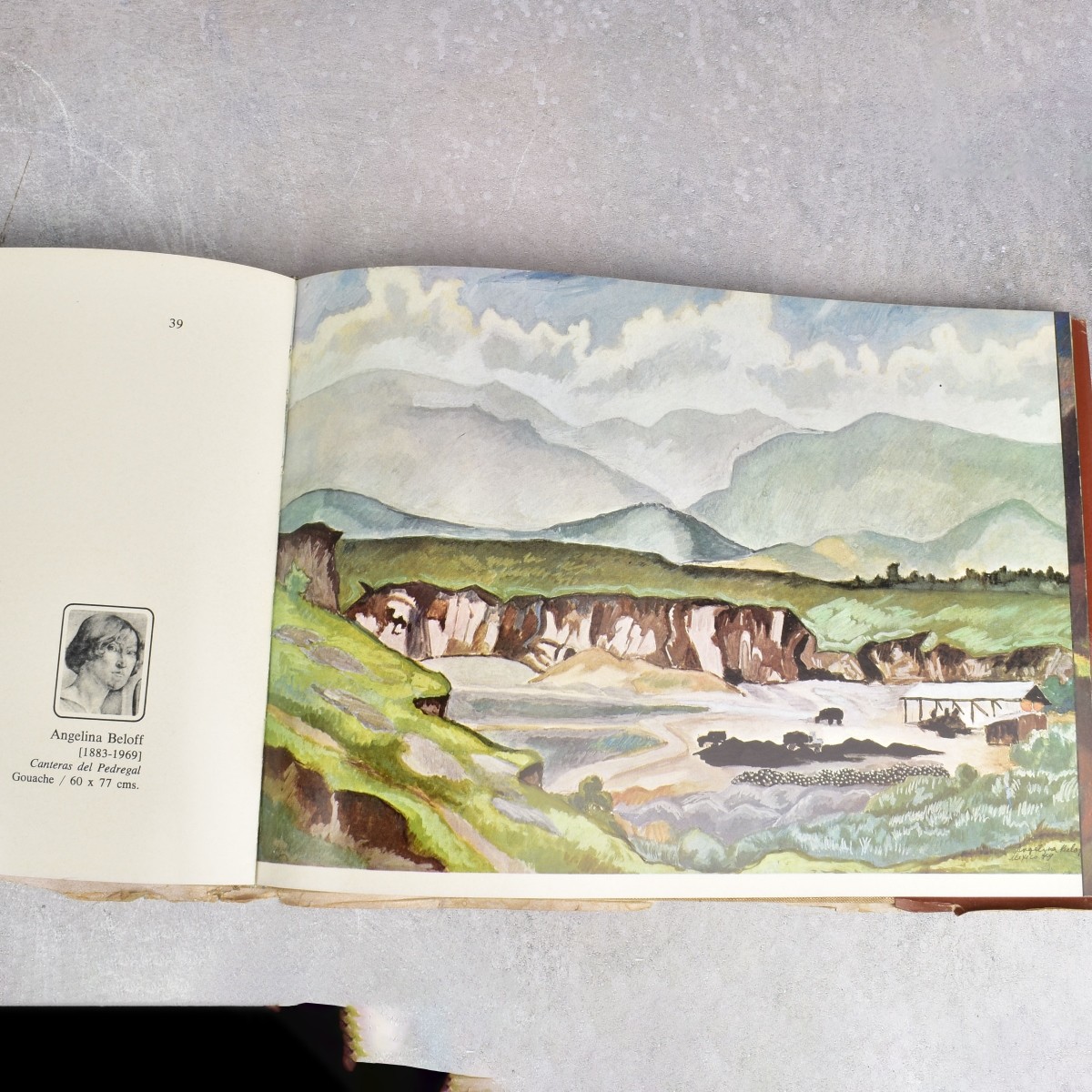 Mexico Hard Cover Books