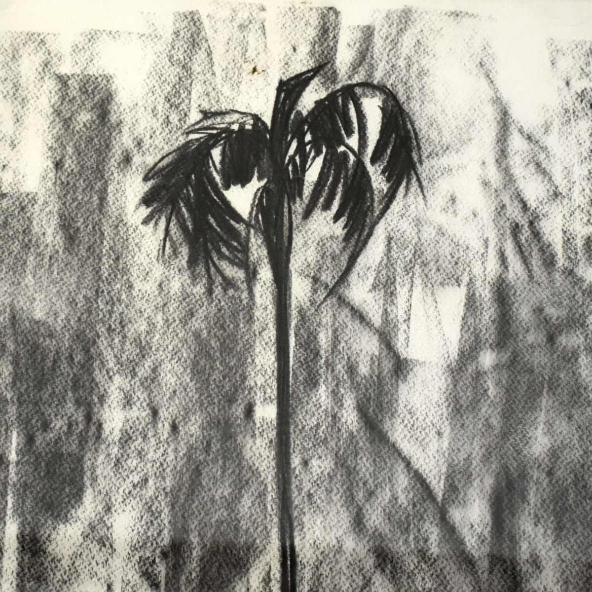 Alexis Leyva Machado, (Kcho), Cuban (b. 1970