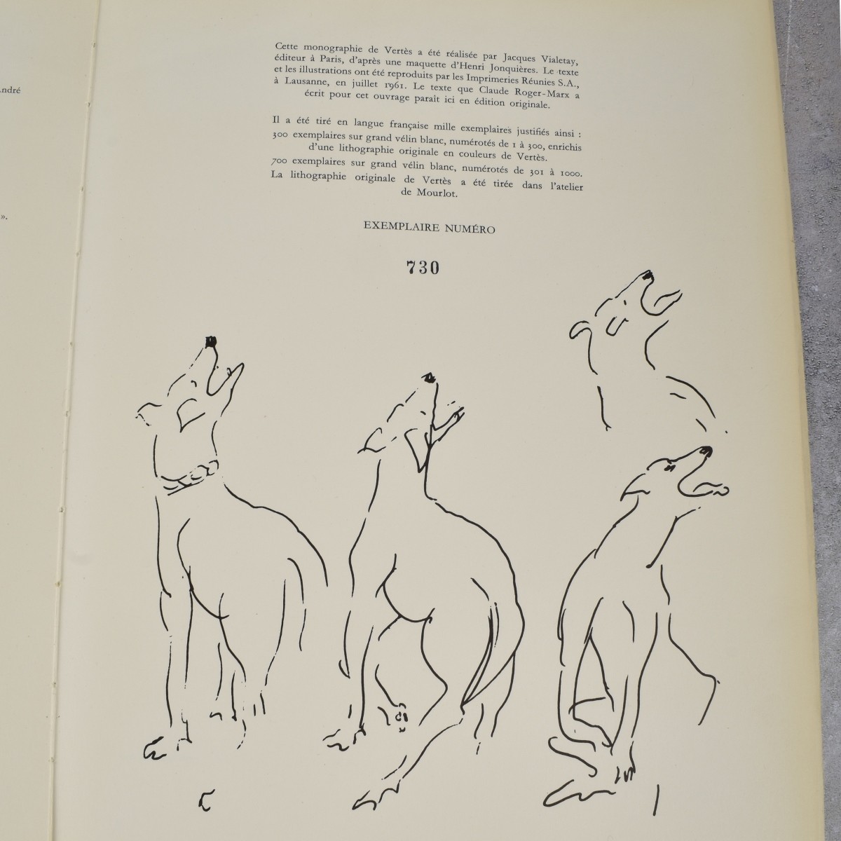 Collection of Art Books