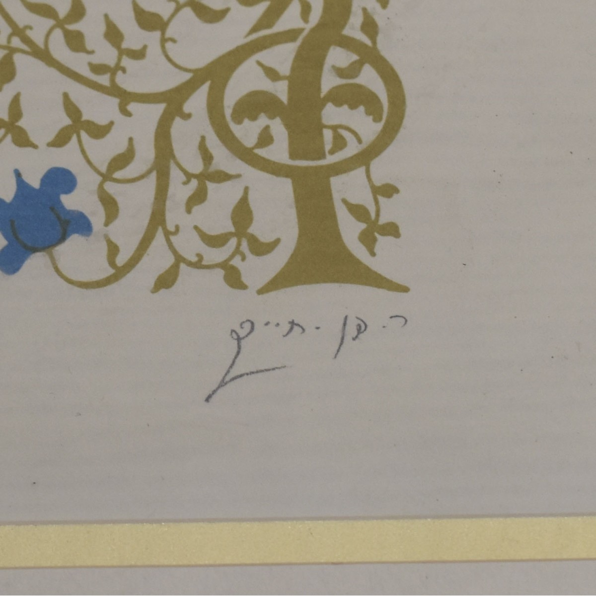 Collection of Judaic