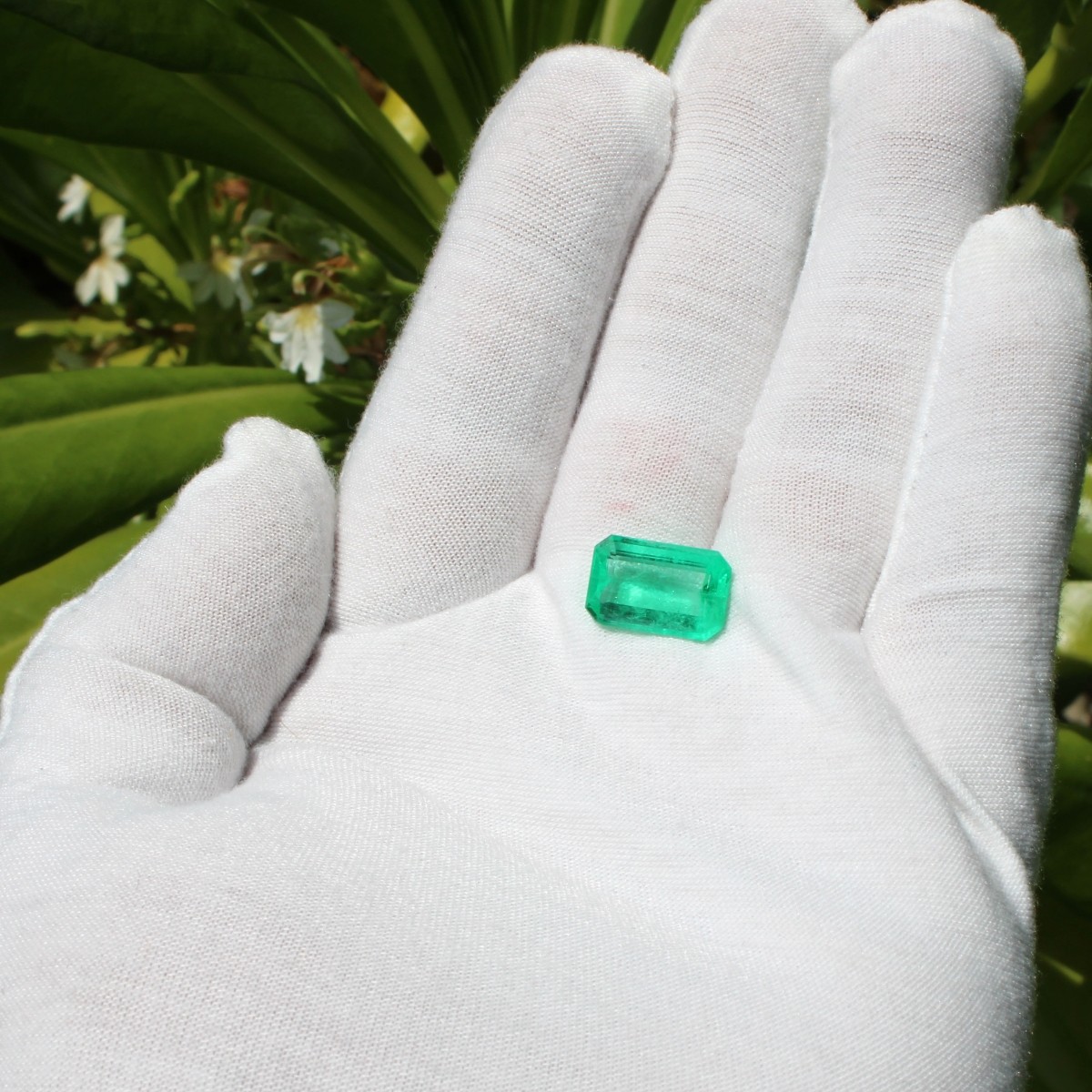 GIA 6.81ct. Colombian Emerald