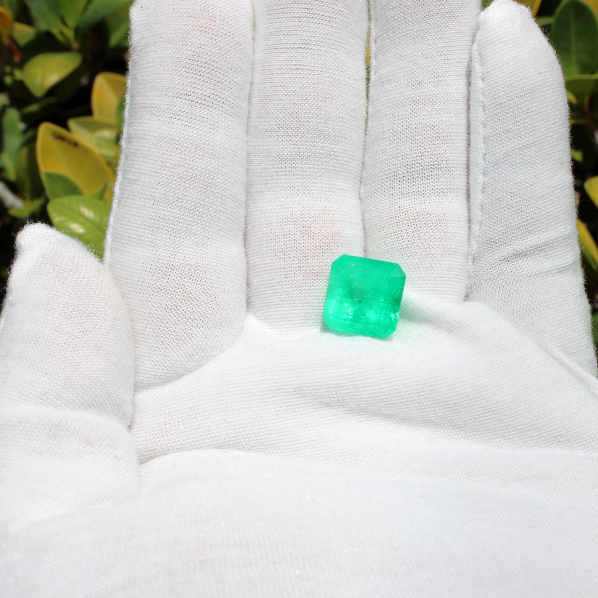 GIA 8.81ct. Colombian Emerald