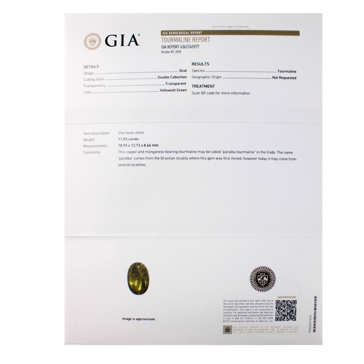 GIA Paraiba, Diamond and 14 ing