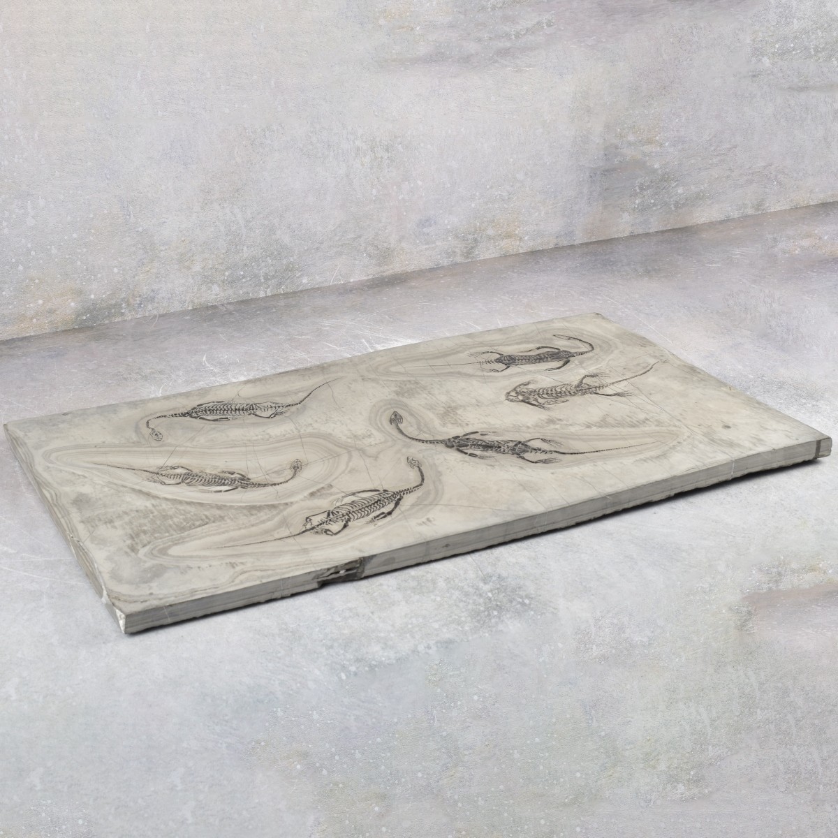 Fossilized Aquatic Reptiles