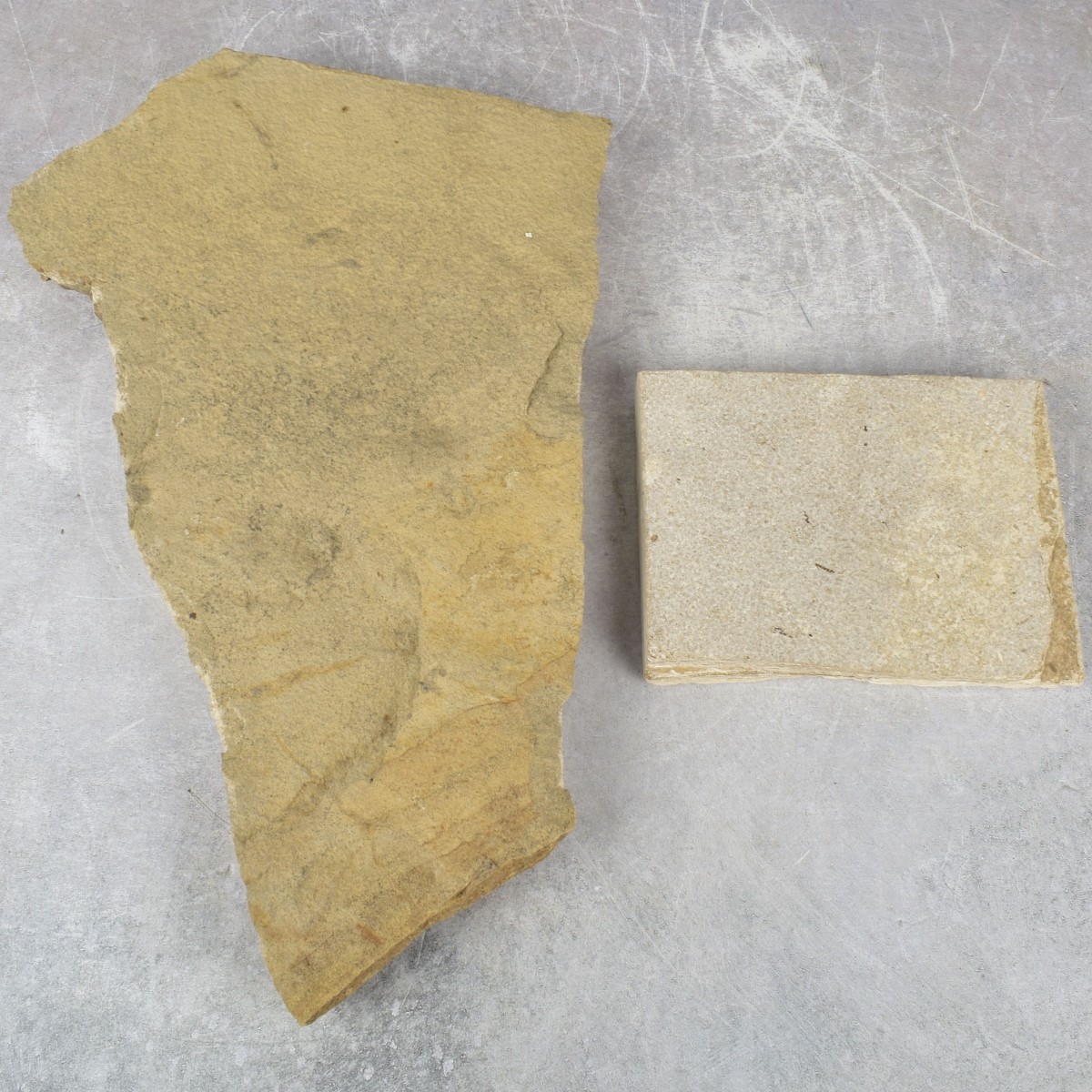 Prehistoric Fish Fossil Slabs