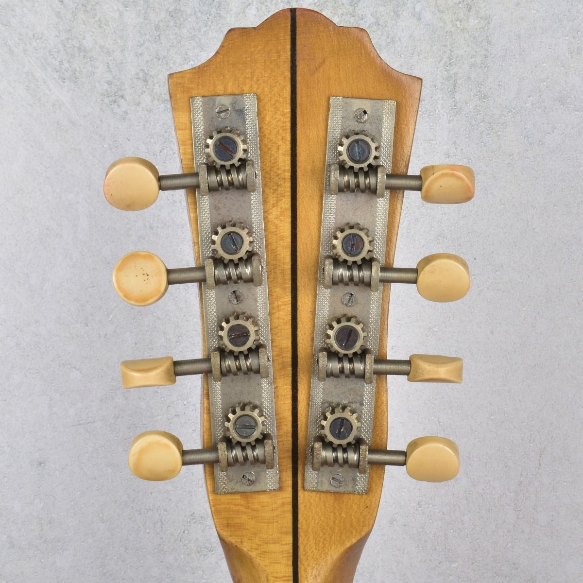 Vintage Eight (8) String Banjo-Banjolin