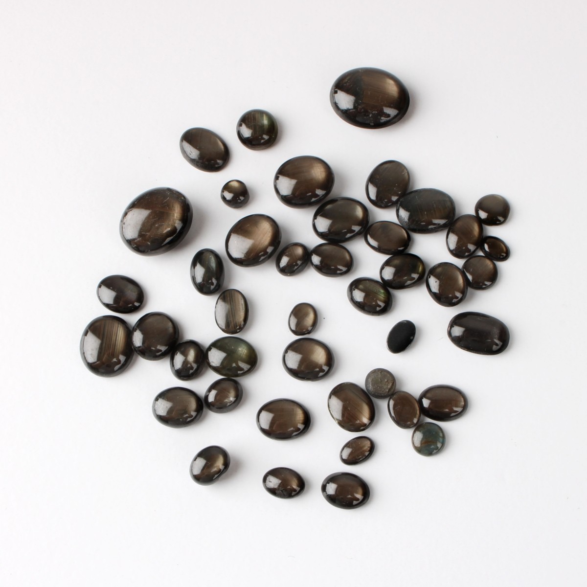 103.1CT TW Black Star Sapphires