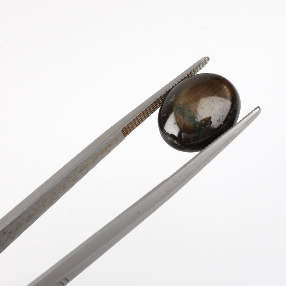 103.1CT TW Black Star Sapphires