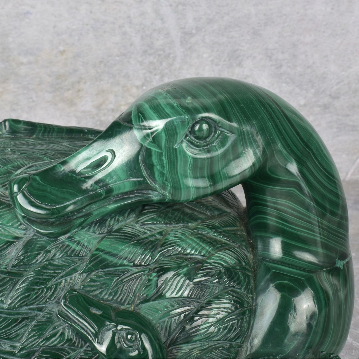 Malachite Duck Group